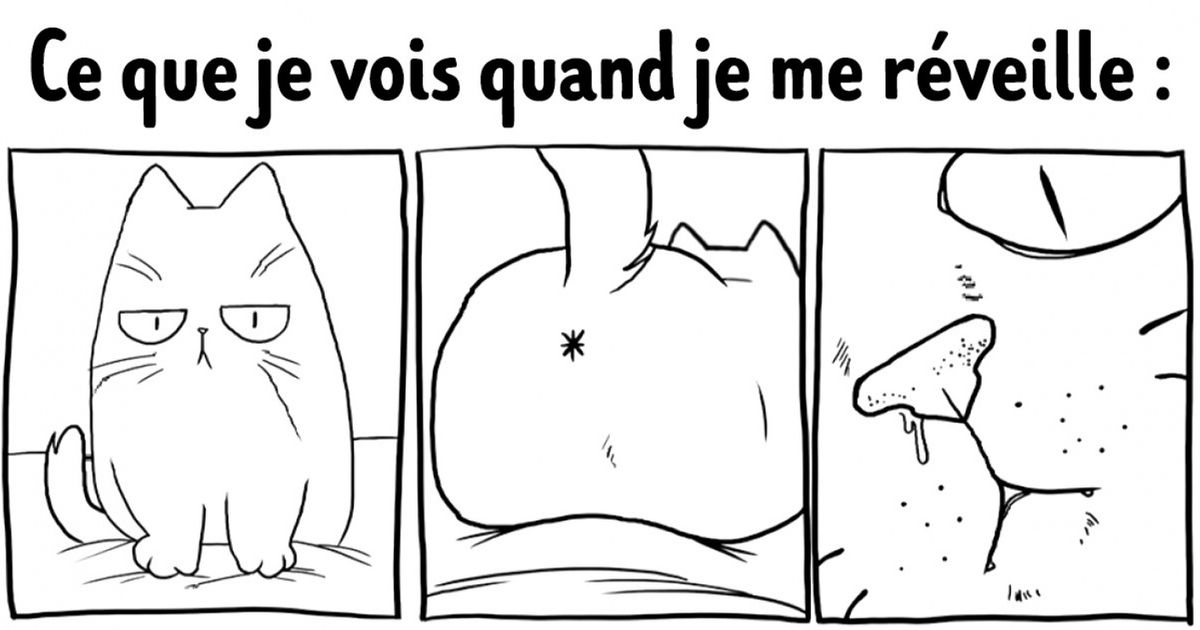 Découvre 18 illustrations amusantes à travers lesquelles chaque propriétaire de chat pourra s’identifier...