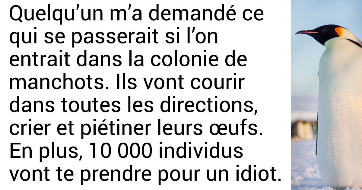 25 Tweets de l’explorateur polaire qui parle franchement des bons et des mauvais aspects de sa vie en Antarctique