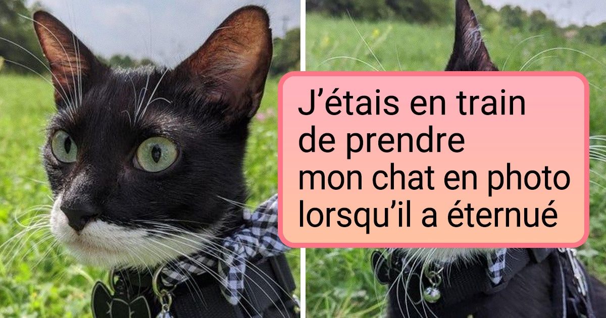 17 Photos sur lesquelles le flash est parti juste au bon moment