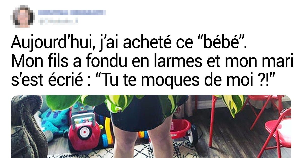 20+ Personnes qui ont apporté une plante à la maison un jour et qui n’ont plus jamais réussi à s’arrêter