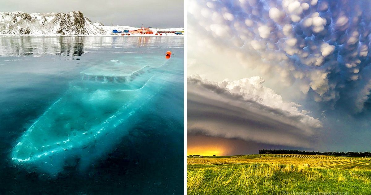 28 Moments inoubliables que les gens se sont précipités de prendre en photos
