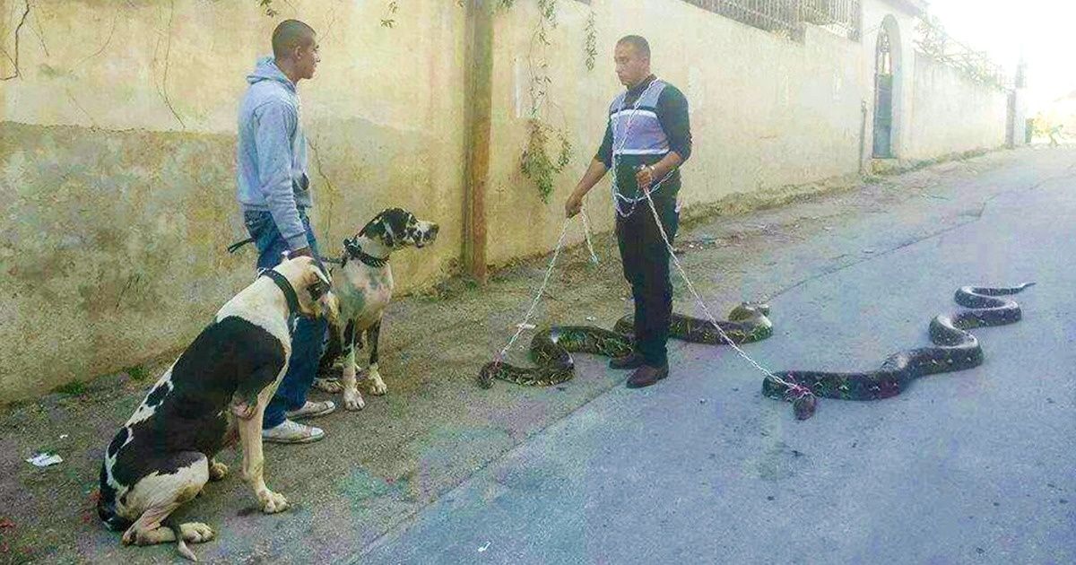 Ces 20 photos semblent avoir été prises sur une autre planète