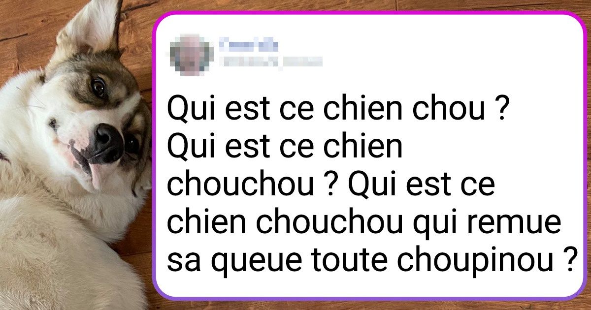 16 Personnes ont avoué ce qu’elles disaient à leurs compagnons à quatre pattes quand personne ne les écoutait