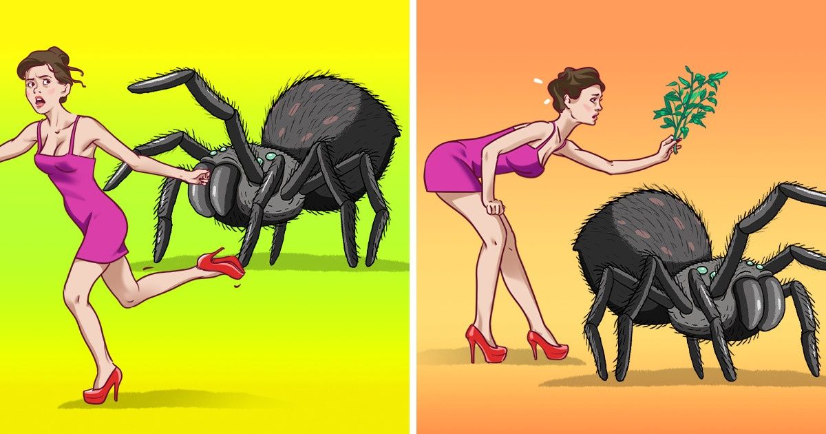 9 Méthodes pour éloigner les araignées et les insectes de ta maison
