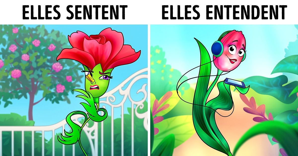 Les plantes possèdent bel et bien des sens et peuvent être plus sensibles qu’on ne le pense Les plantes possèdent bel et bien des sens et peuvent être plus sensibles qu’on ne le pense