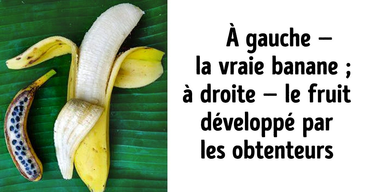 20+ Photos qui prouvent que nous vivons dans un monde curieux et surprenant