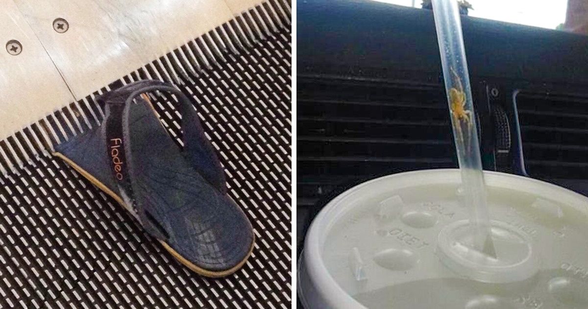 26 Photos à cause desquelles ton cœur sautera un battement