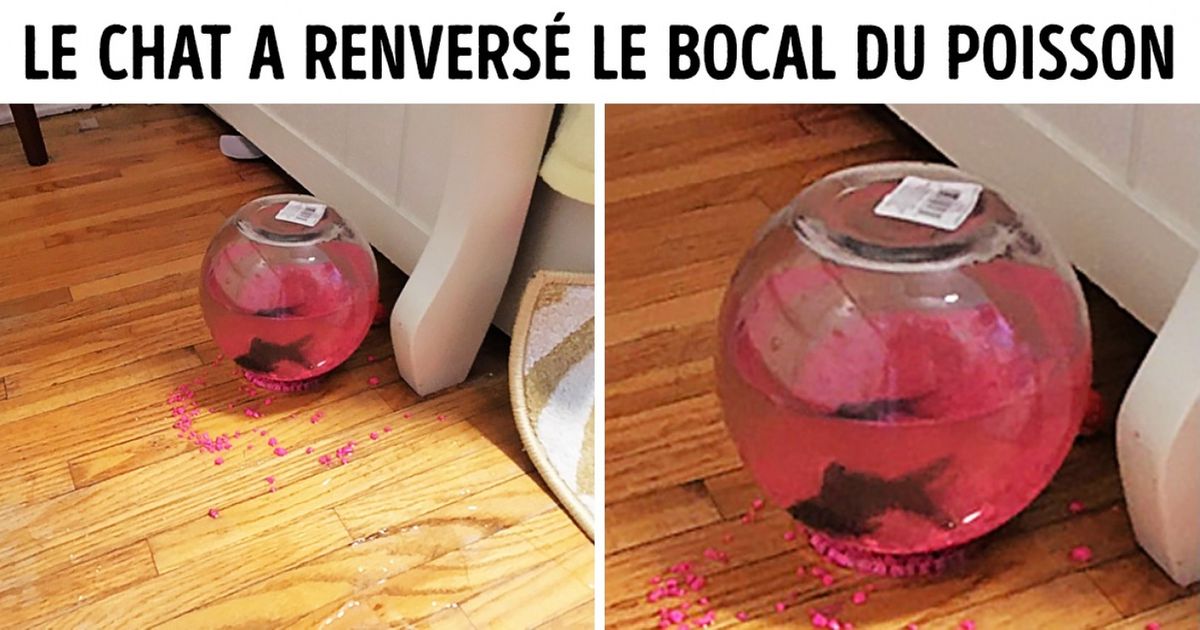 On peut dire que la chance a souri à ces 24 personnes pile au bon moment
