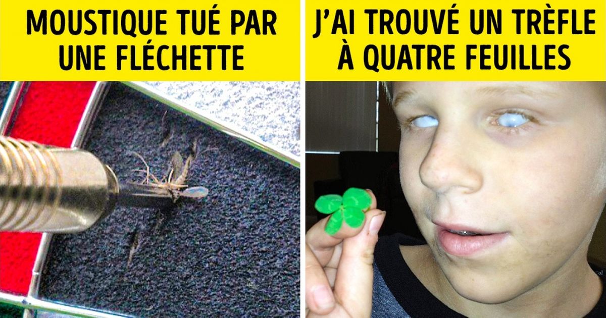 Ces 20 situations exceptionnelles ne peuvent se voir qu’une fois dans la vie, et en ayant beaucoup de chance Ces 20 situations exceptionnelles ne peuvent se voir qu’une fois dans la vie, et en ayant beaucoup de chance