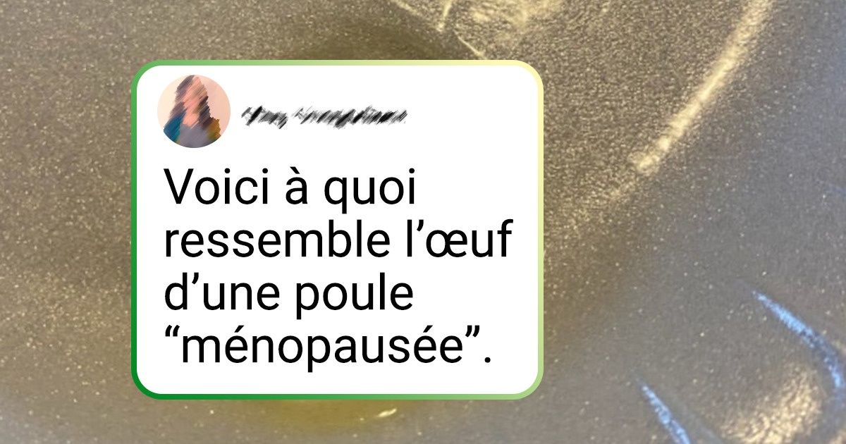 18 Personnes qui ont trouvé par hasard une réponse à la question “Qu’est-ce qui arriverait si...?”