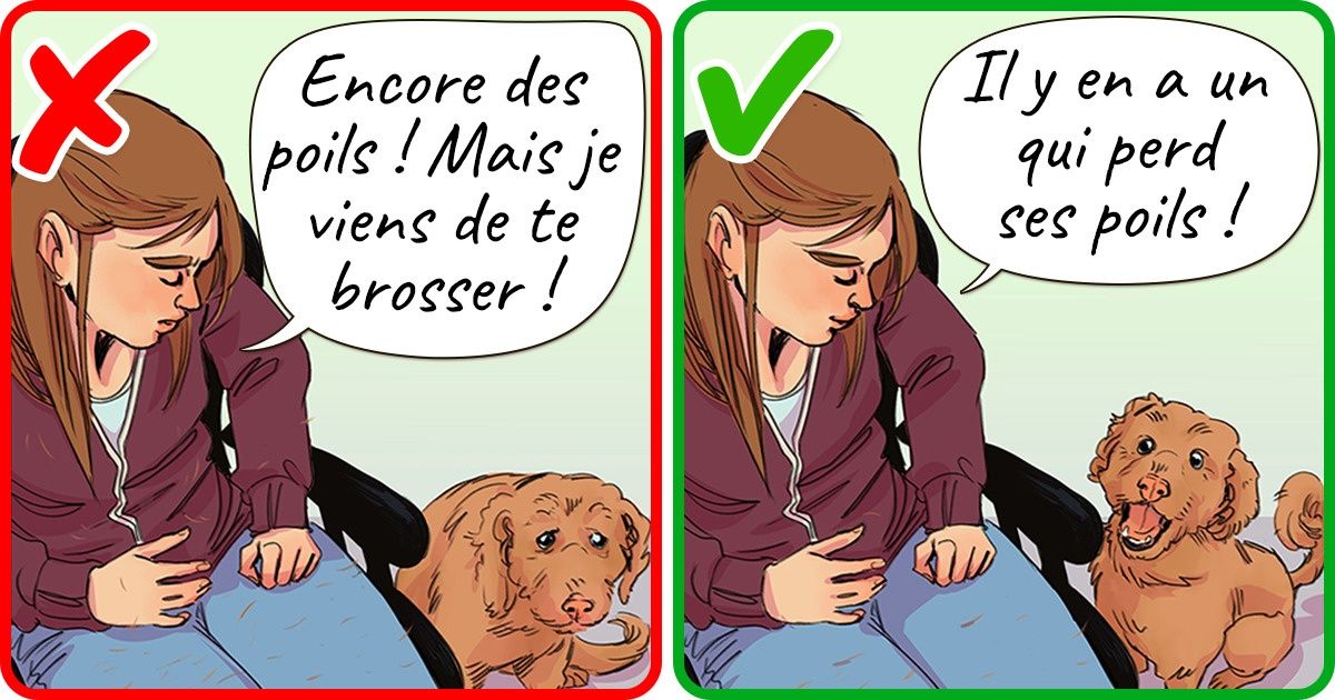 10 Signes et comportements par lesquels notre chien nous montre qu’il est stressé