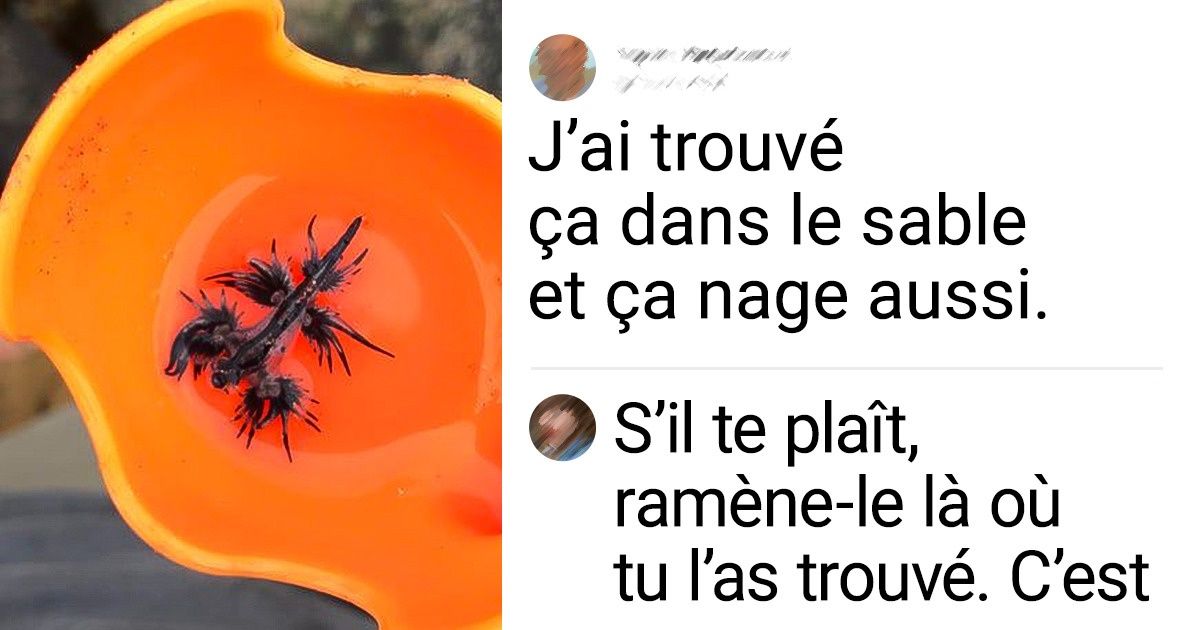 18 Situations où les gens sont devenus témoins d’un petit miracle