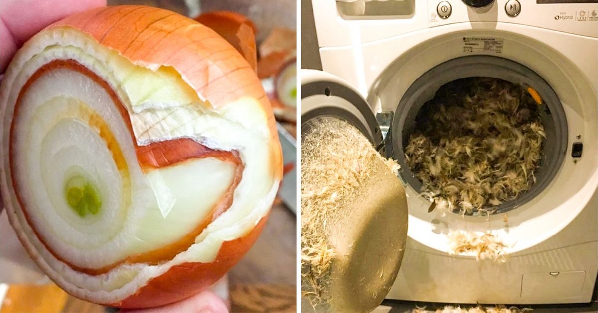 Découvre 23 personnes qui ont goûté à la malchance de façon impressionnante !