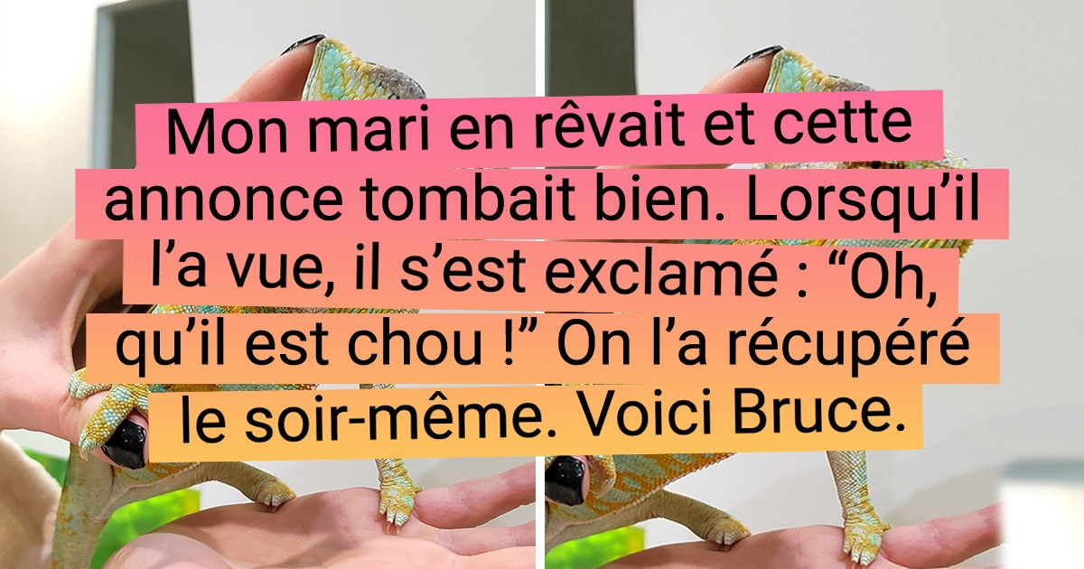 15 Personnes qui savent s’y prendre pour faire plaisir à leurs proches