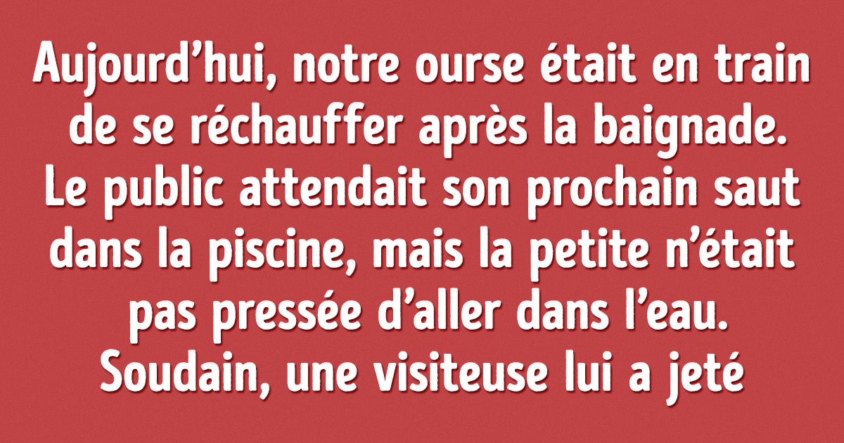 Les employés du zoo de Saint-Pétersbourg ont publié un article sur l’observation des animaux qui donne à réfléchir Les employés du zoo de Saint-Pétersbourg ont publié un article sur l’observation des animaux qui donne à réfléchir