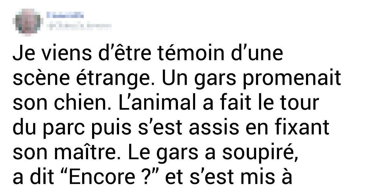 20+ Chiens dont les paramètres de base se sont déréglés