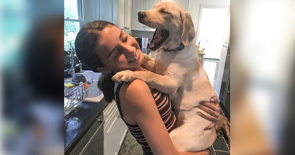 La science nous explique pourquoi nous pouvons aimer notre chien comme s’il était notre bébé