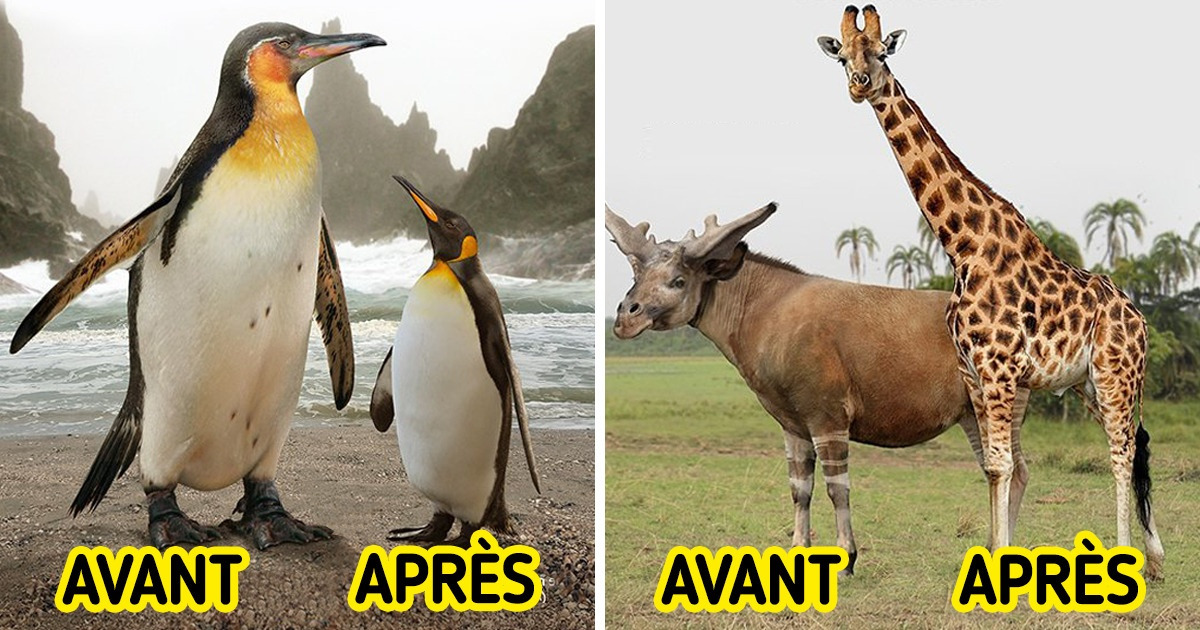 15 Comparaisons physiques d’animaux disparus et leurs parents actuels