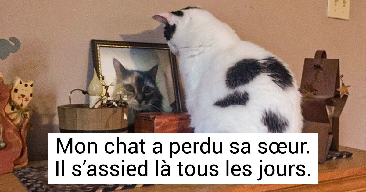 23 Photos qui révèlent des histoires émouvantes du véritable amour 23 Photos qui révèlent des histoires émouvantes du véritable amour
