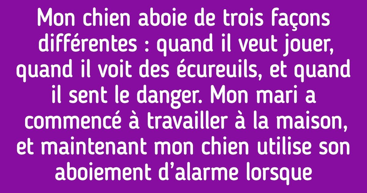 20+ Histoires d’animaux de compagnie qui ont fait changer les habitudes de leurs maîtres juste pour être plus heureux