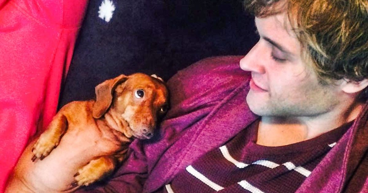 Selon une étude, certaines personnes aiment leurs animaux de compagnie plus que d’autres êtres humains Selon une étude, certaines personnes aiment leurs animaux de compagnie plus que d’autres êtres humains