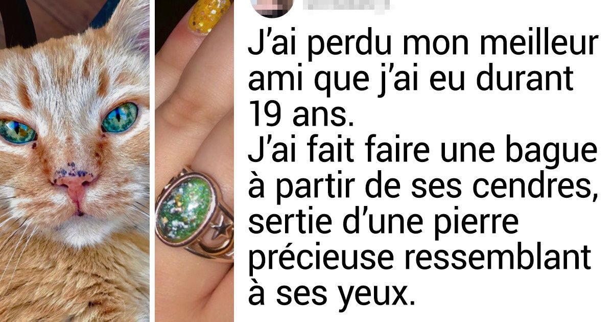 15 Photos émouvantes qui ne peuvent pas te laisser indifférent