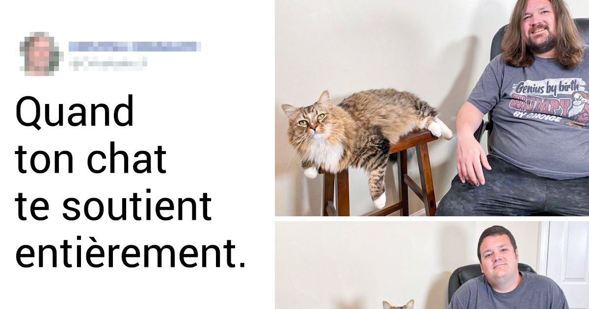 19 Photos qui prouvent que les animaux ressemblent à leurs maîtres comme deux gouttes d’eau