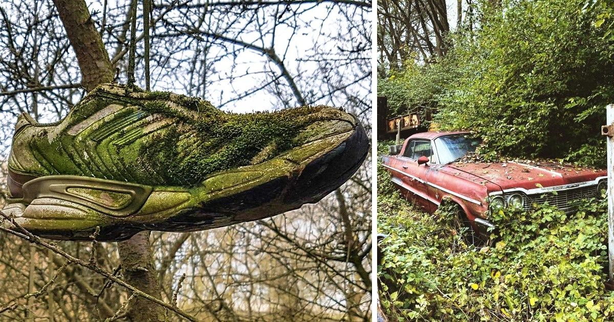 20 Preuves que rien ne peut empêcher la nature de réclamer son espace