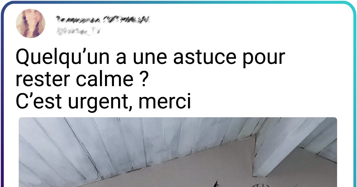 15+ Utilisateurs de Twitter nous racontent le jour où ils ont dû avoir beaucoup de patience