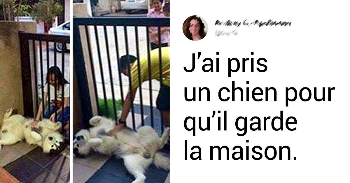16 Toutous qui ont essayé de rester sages toute l’année, mais qui n’y sont pas toujours arrivés