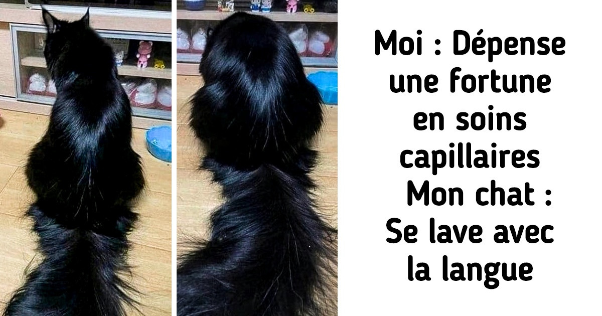 18 Moments où l’Univers lui-même semble nous conseiller de prendre un jour de repos