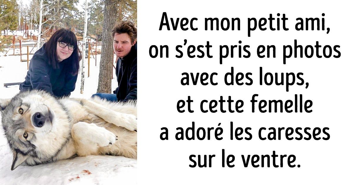 17 Moments où des animaux sauvages ont montré qu’ils pouvaient être doux comme des agneaux