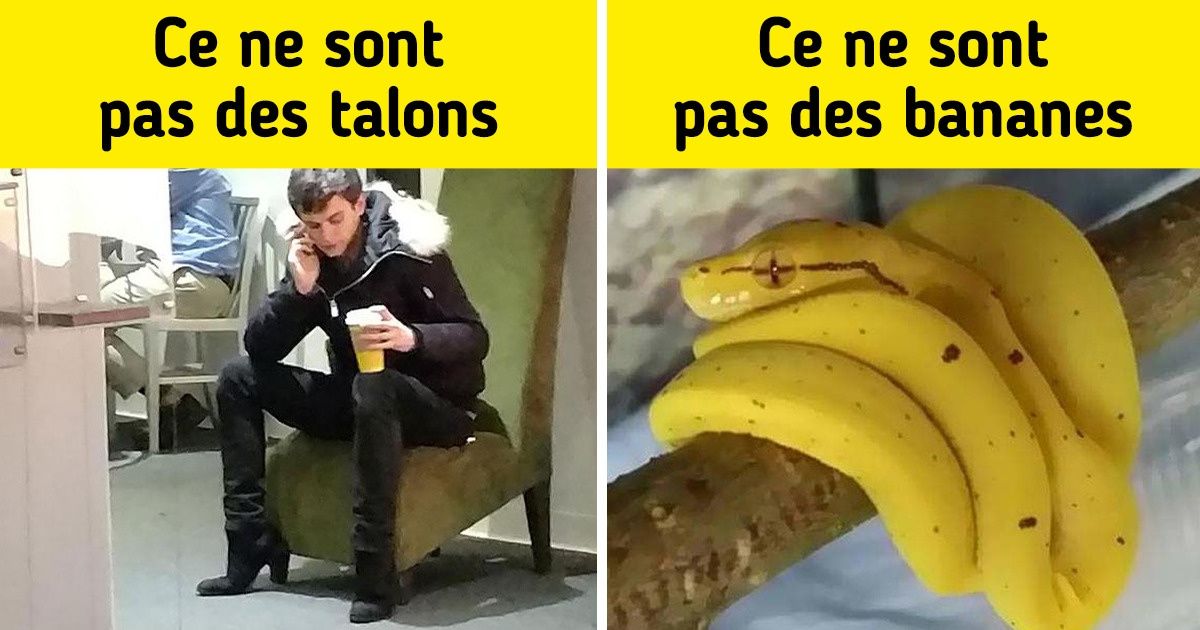 18 Photos dont l’angle de vue provoque une certaine confusion