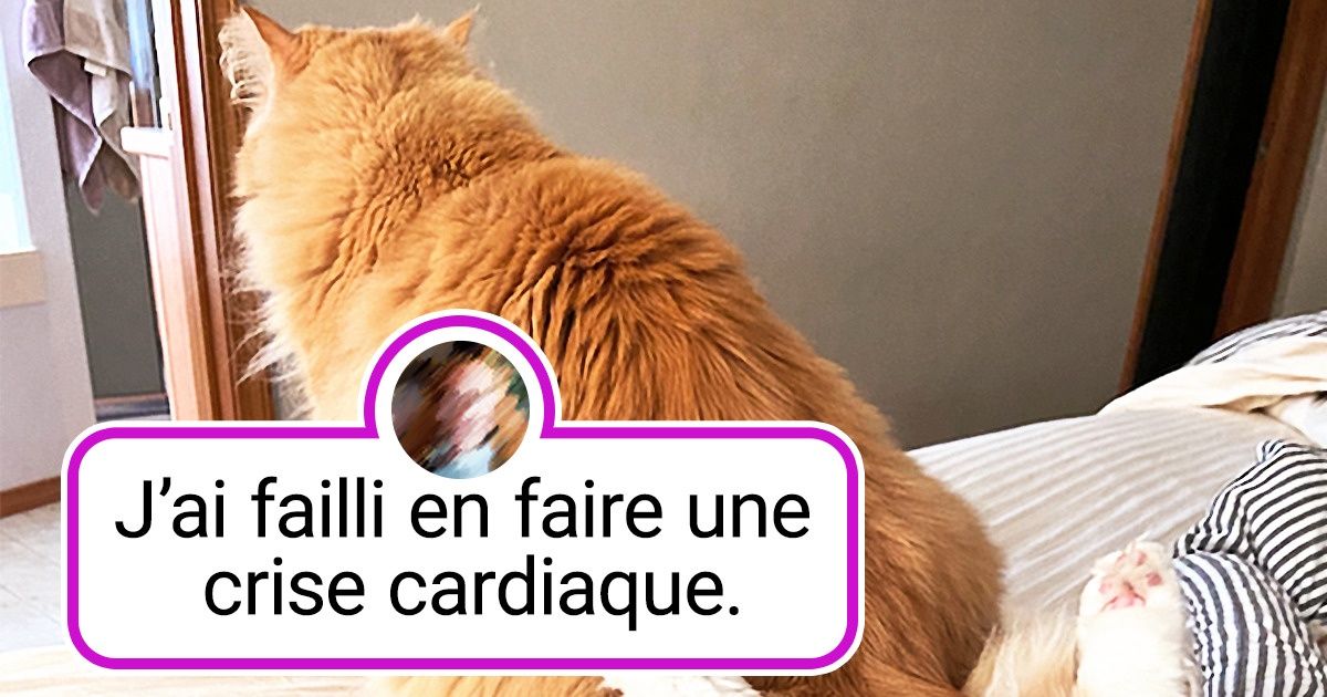 17 Personnes qui ont cru voir des choses tellement improbables qu’elles ont prié pour sortir de ce cauchemar éveillé