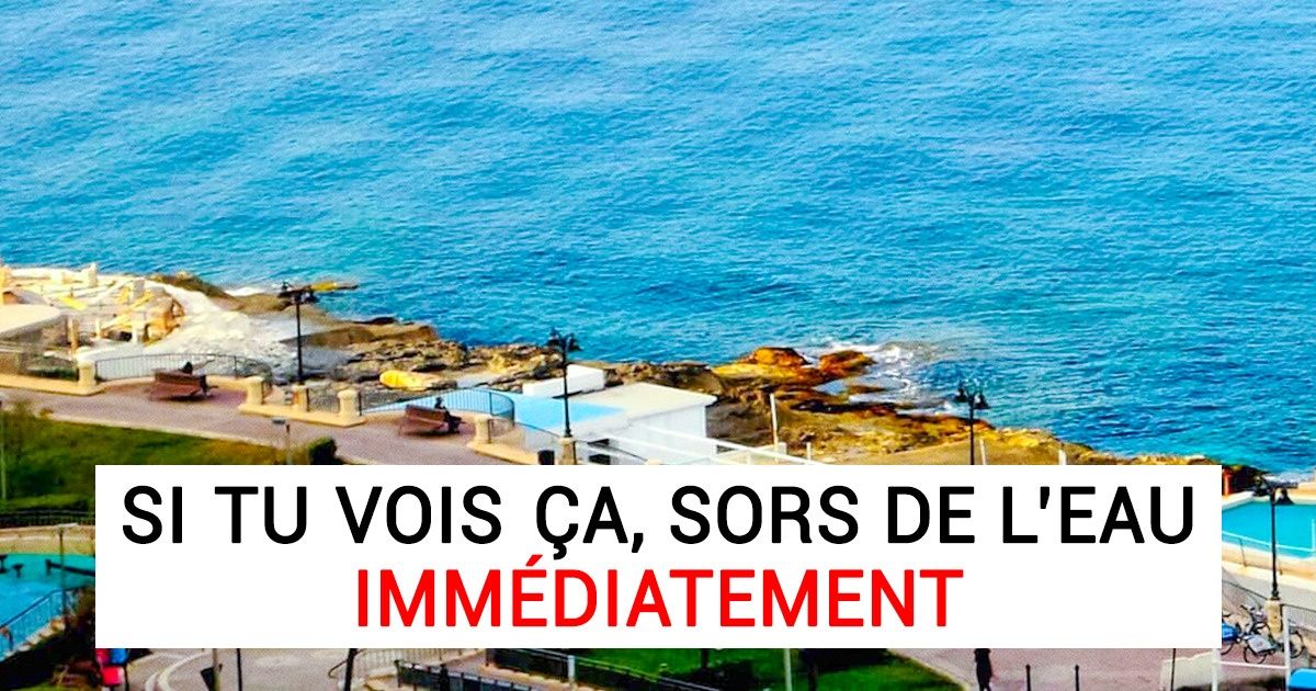 12 Trucs qui sont susceptibles de te sauver la vie un jour