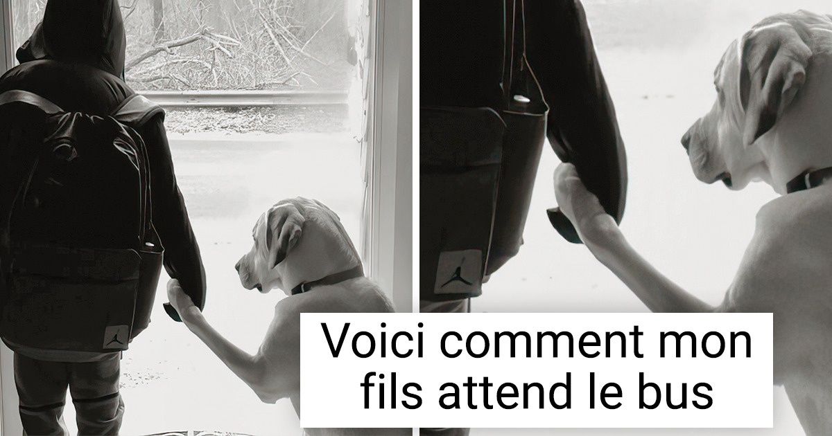 16 Photos qui rendront ta journée aussi douce qu’une caresse