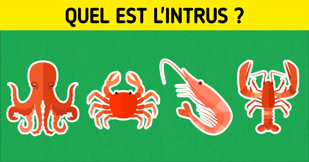 Quiz : Trouve l’élément qui n’appartient pas au groupe et prouve que tu as un raisonnement logique