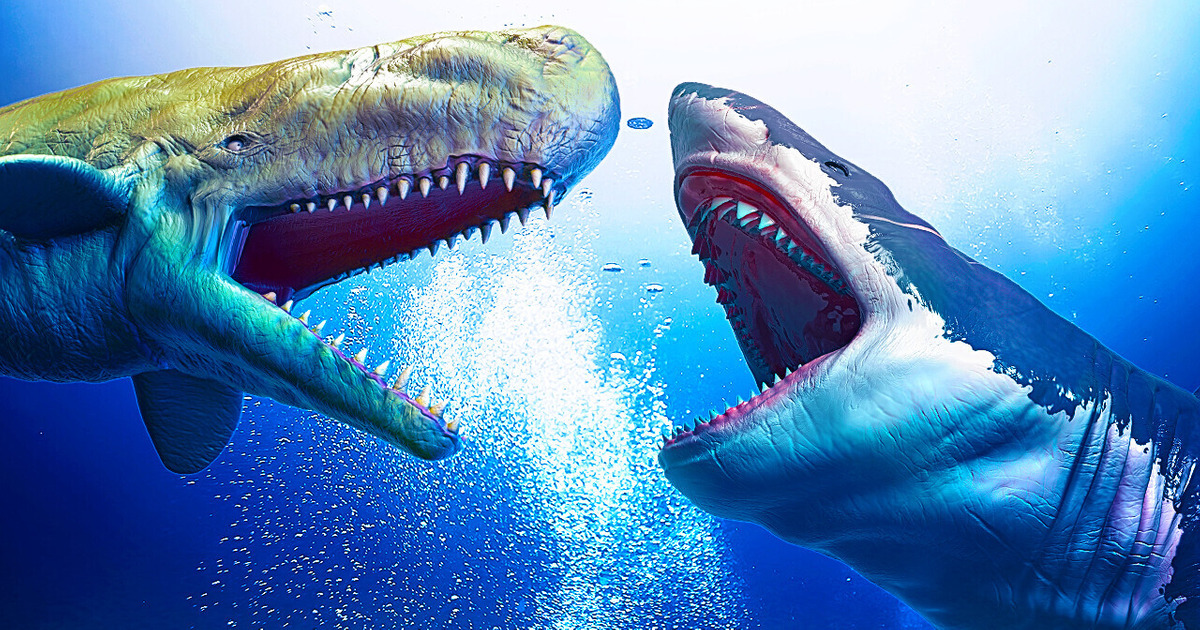 Mégalodon VS Léviathan : Qui gagnerait ? Mégalodon VS Léviathan : Qui gagnerait ?