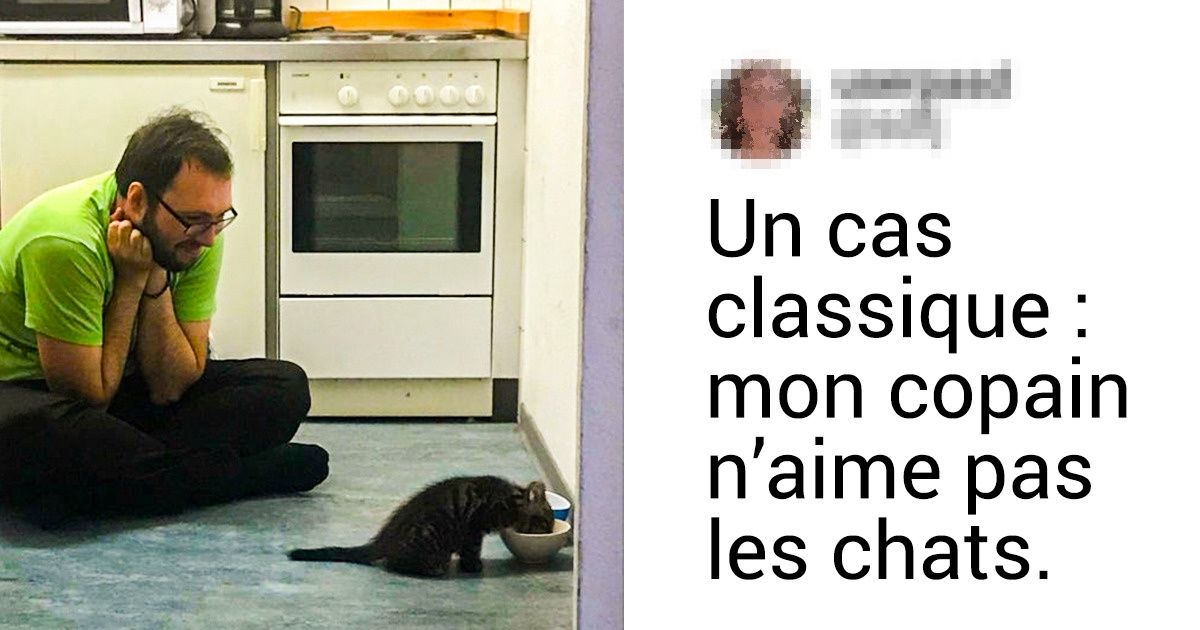 20 photos dans lesquelles tout propriétaire d’un animal de compagnie se reconnaîtra 20 photos dans lesquelles tout propriétaire d’un animal de compagnie se reconnaîtra