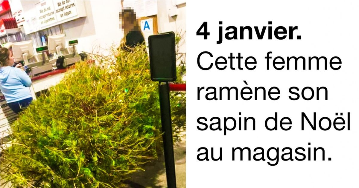 Ces 23 personnes savent réellement faire preuve de génie quand il le faut