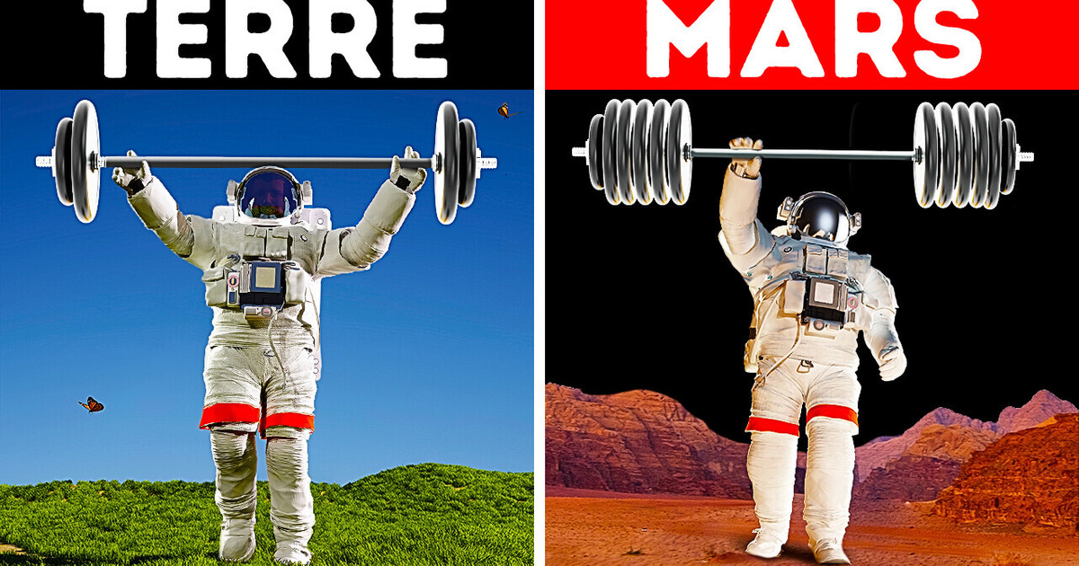 Tu Pourrais Soulever un Éléphant sur Cette Planète