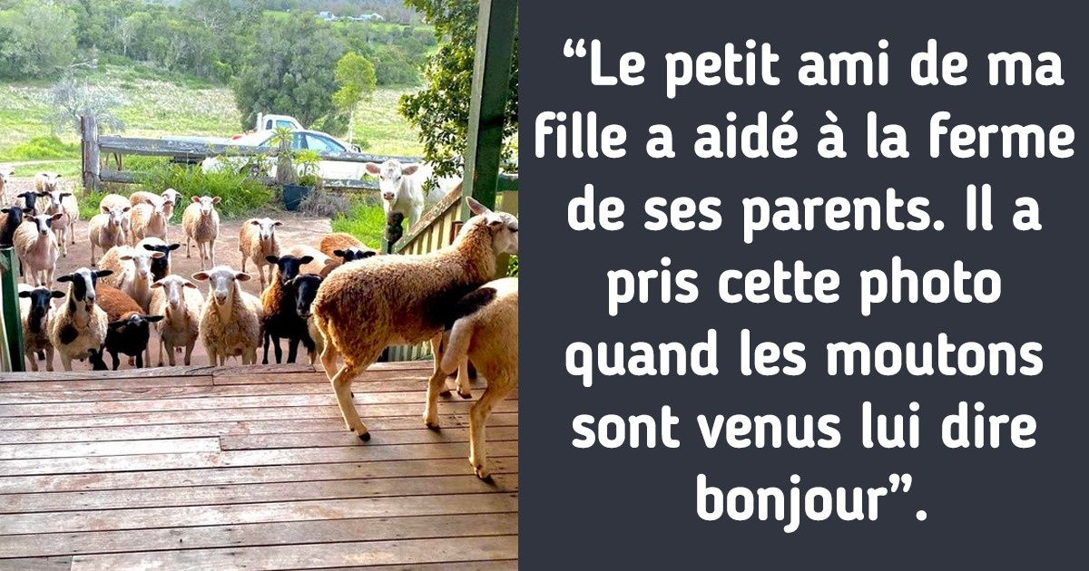 18 Raisons pour lesquelles l’Australie pourrait gagner le prix du pays le plus déconcertant et le plus merveilleux