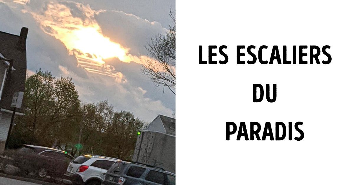 20 Moments où la nature nous a montré toute l’étendue de sa magie 20 Moments où la nature nous a montré toute l’étendue de sa magie