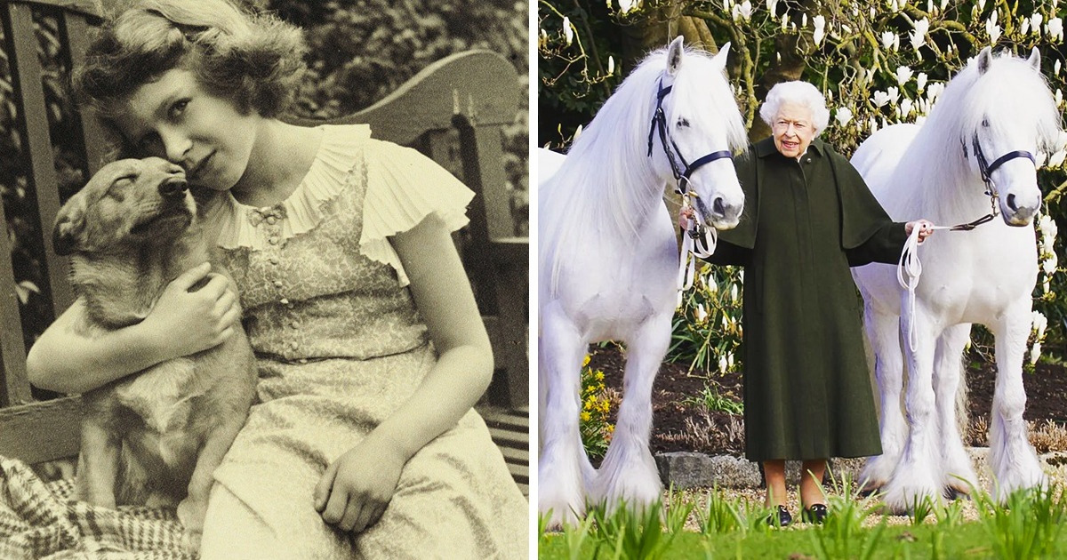 Se souvenir de Sa Majesté à travers 19 photos qui illustrent l’amour de la reine Elisabeth pour les animaux Se souvenir de Sa Majesté à travers 19 photos qui illustrent l’amour de la reine Elisabeth pour les animaux