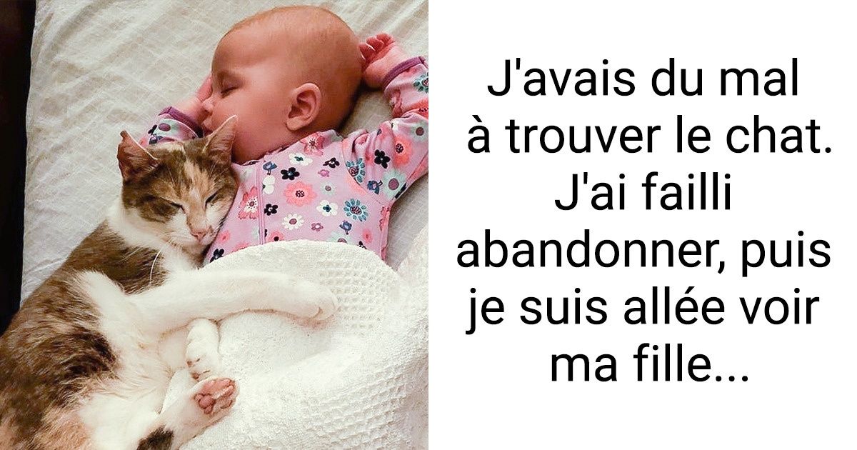 19 Photos qui nous font vénérer le lien d’amitié entre les animaux et leurs humains