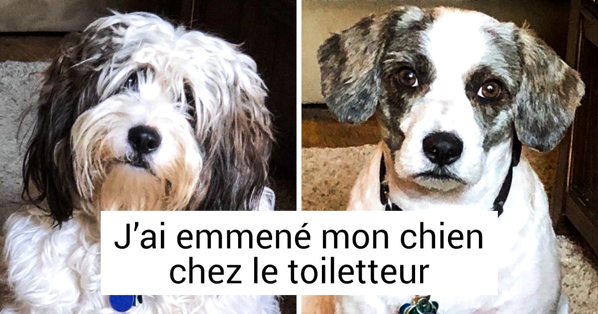18 Photos avant/après sans lesquelles on ne croirait pas que de tels changements seraient possibles 18 Photos avant/après sans lesquelles on ne croirait pas que de tels changements seraient possibles