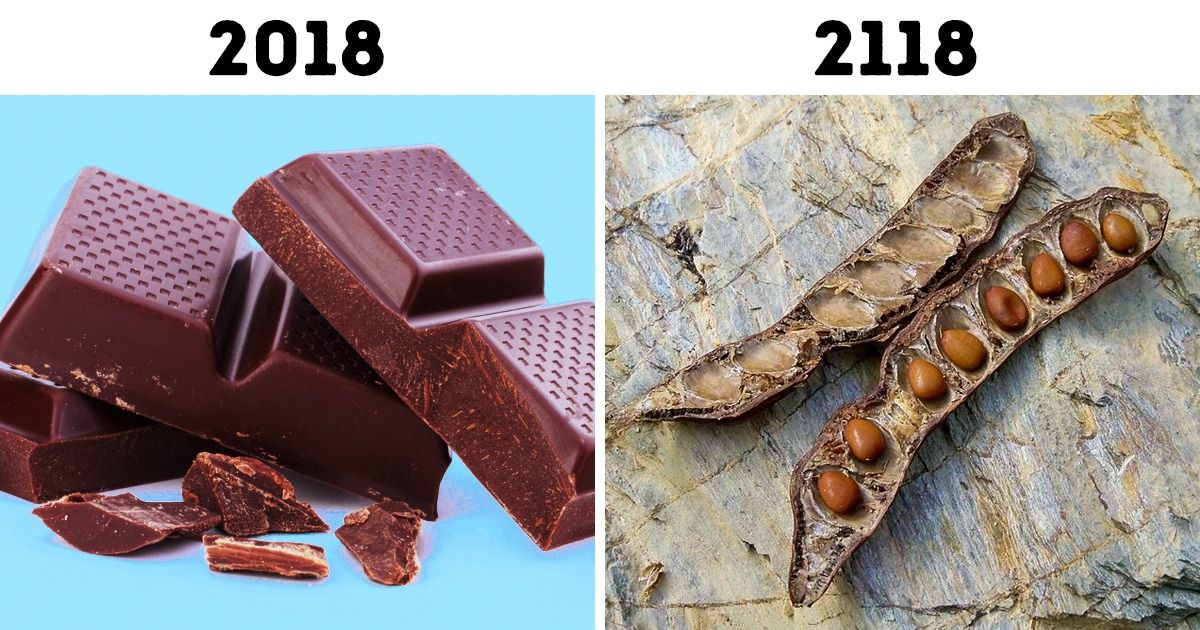 10 Choses populaires qui disparaîtront de notre vie dans les 100 prochaines années 10 Choses populaires qui disparaîtront de notre vie dans les 100 prochaines années
