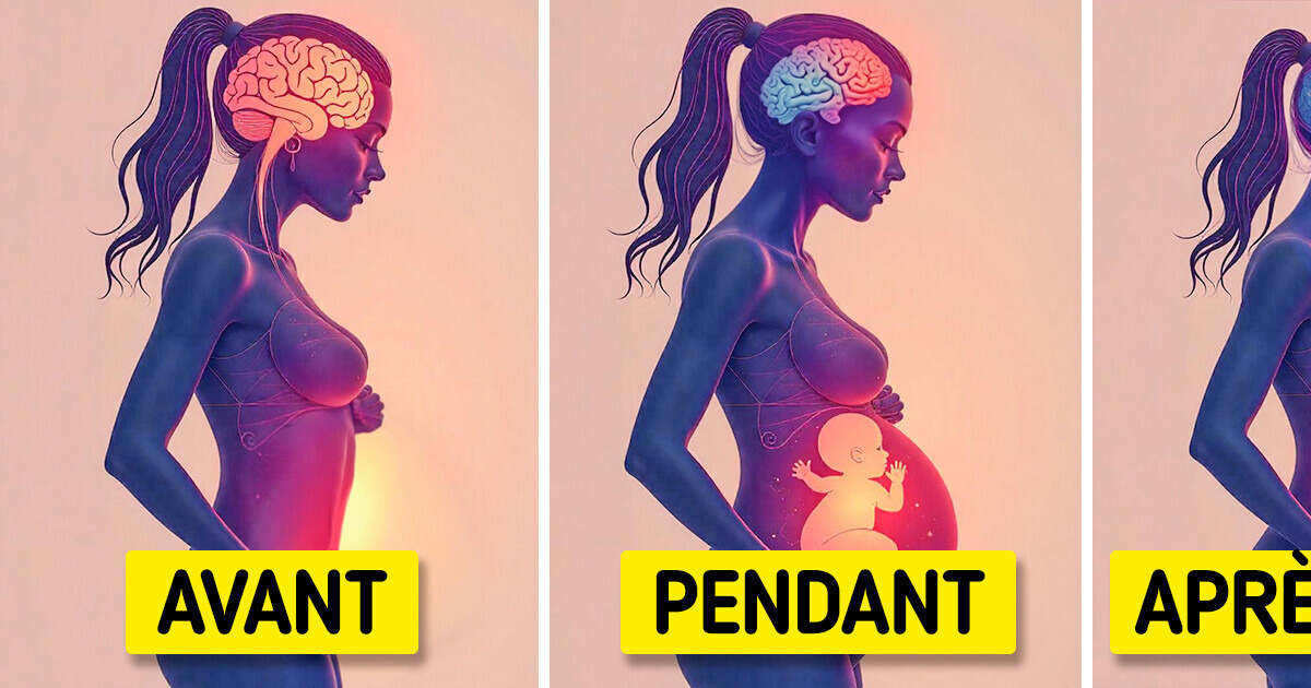 Une étude révèle que la grossesse modifie le cerveau à jamais Une étude révèle que la grossesse modifie le cerveau à jamais
