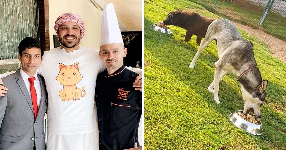 À Abu Dhabi, un chef cuisinier s’est associé à un hôtel 5 étoiles pour alimenter les animaux d’un refuge avec les restes de nourriture