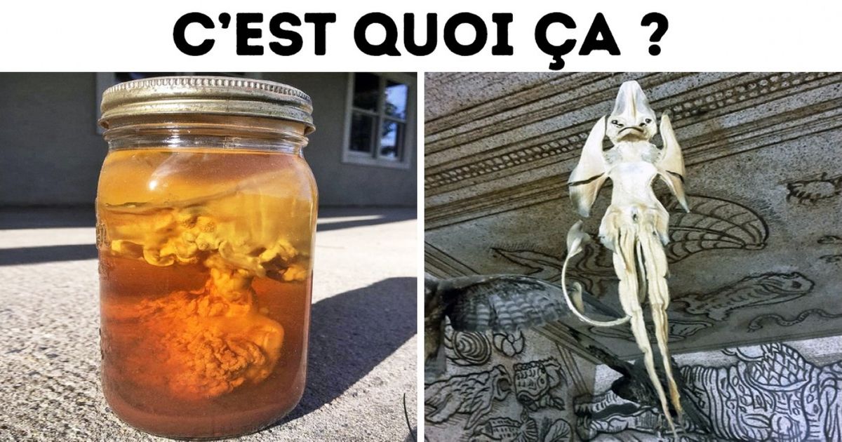 Internet sert vraiment à tout, même à élucider de drôles de mystères
